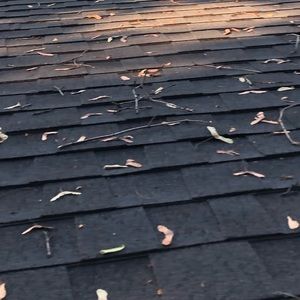 Meet your Posher, Spencer